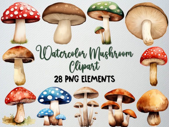 Download Watercolor Mushroom Clipart Set, 28 PNG - Set Collection